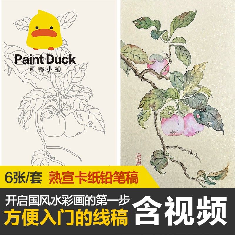 国彩熟宣卡纸国画没骨白描铅笔稿临摹本入门填色上色卡描