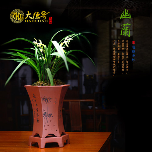 德号宜兴紫砂兰花花盆 六方束腰兰花盆  兰草盆景盆花卉盆栽盆