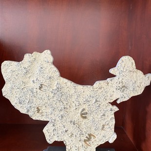 燕子石奇石古生物观赏工艺礼品摆饰礼品科普网红摆件化石地图三叶