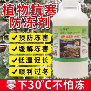 植物抗寒防冻剂果树木蔬菜花卉三角梅绿植通用预防冻害防寒抗冻液