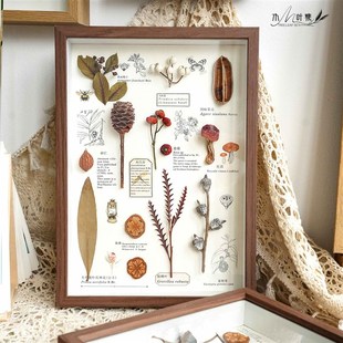 植物标本装 饰画 饰画相框家居摆台法式 复古百搭电视背景墙组合装