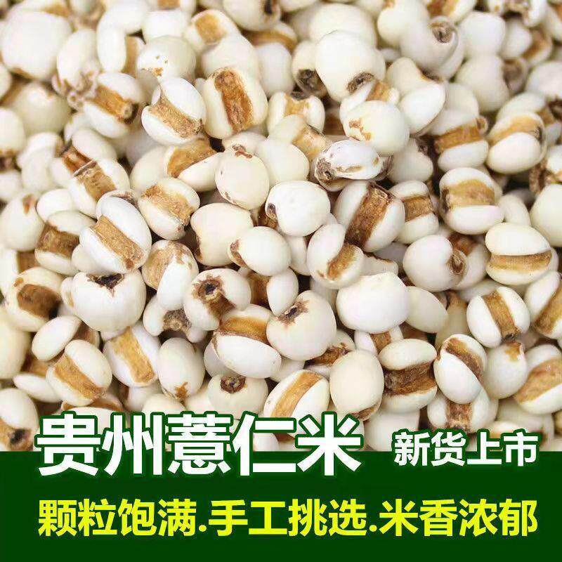 热销贵州兴仁薏米仁农家薏