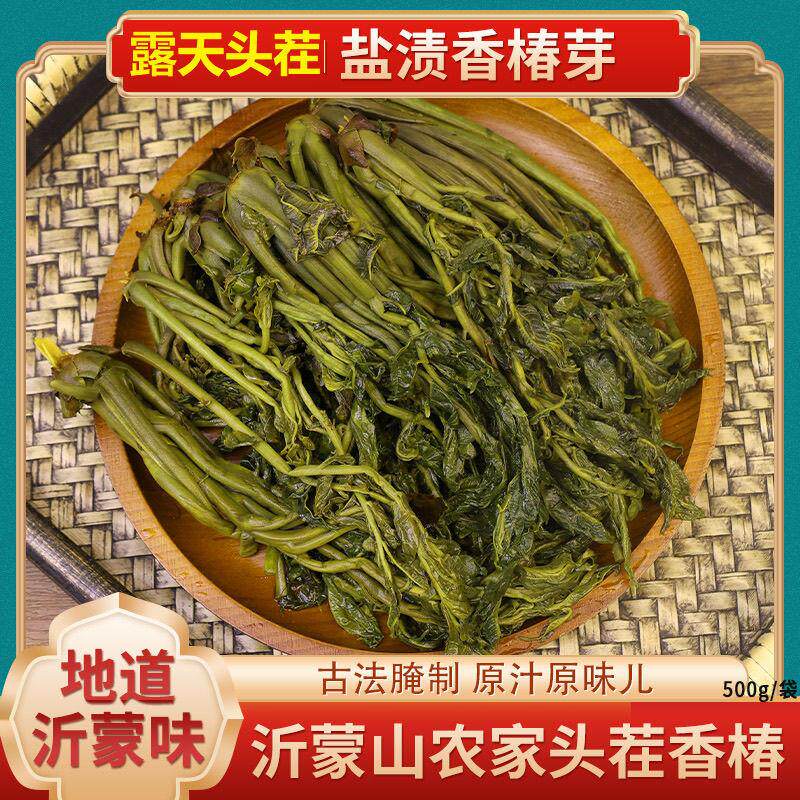 热销新鲜香椿芽咸菜山东特