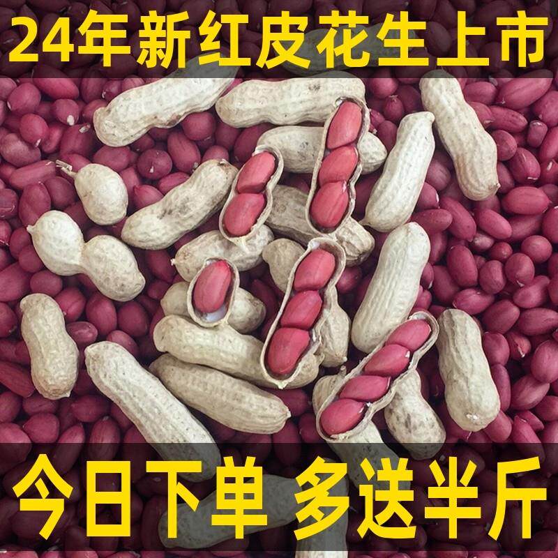 新货24年新货红皮花生米带