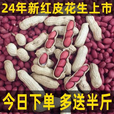 新货24年新货红皮花生米带