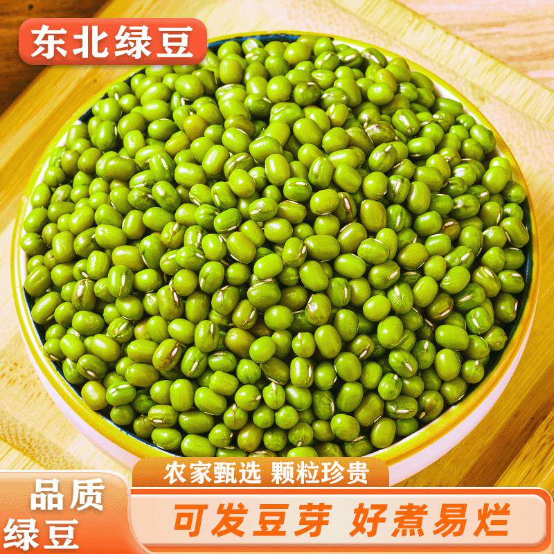 速发绿豆5斤新鲜农家新货
