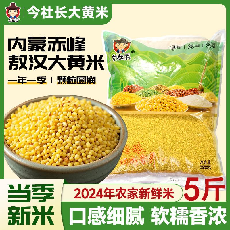 。东北大黄米24年农家新米