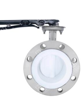 304316L全不锈钢衬四氟板法兰式蝶阀D341F4-16P涡轮手柄动DN80100