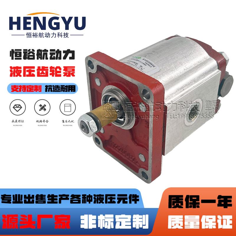 萨拉米油泵SALAMI齿轮泵2PE26D-P28P1-V-VS40 2PE6.5D-P28液压泵