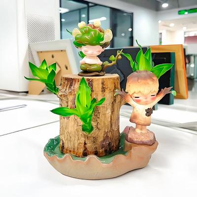 带牙叶巴西木水培好养活开花早