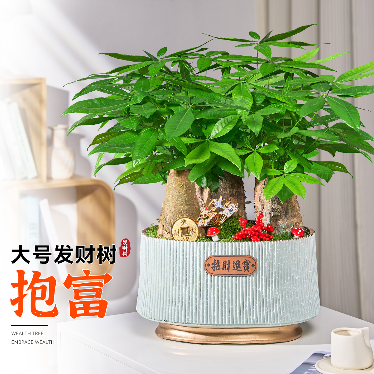 发财树大盆栽客厅室内植物办公室桌面大棵绿植四季好养活开业送礼