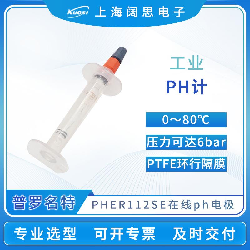 ph计电极PHER112SE型工业在线传感器便携电极探头