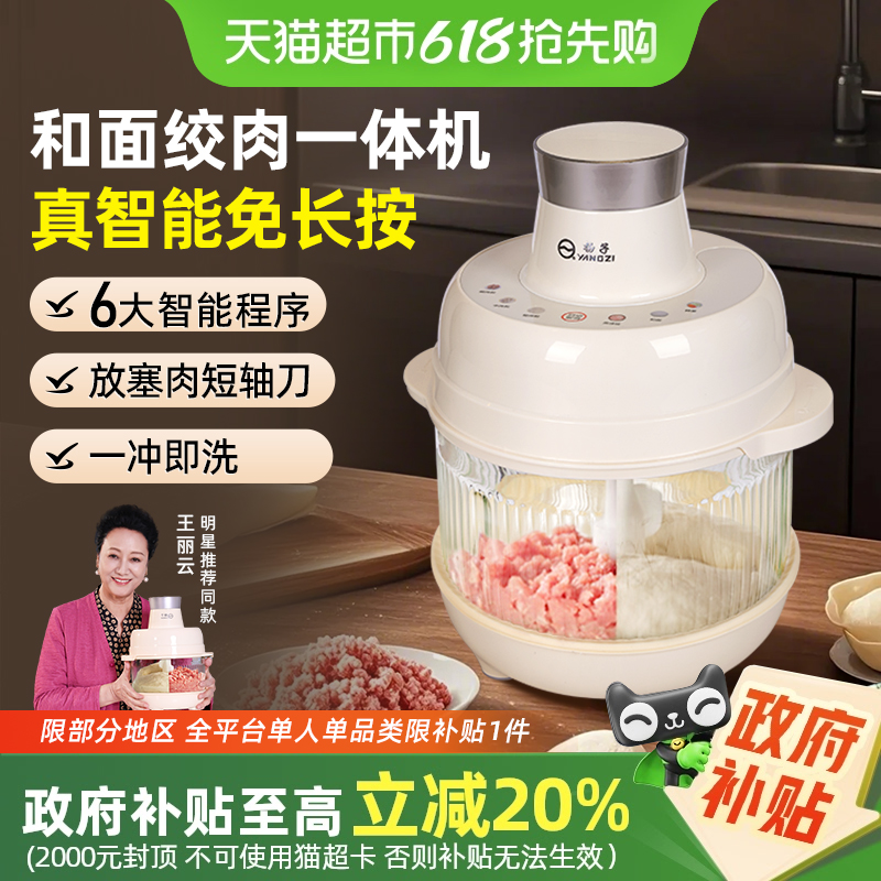 2025ֱͬ++ϸ+һ+5L Ӻö๦ܵ綯Сͽ284.05Ԫ(88VIP 95)