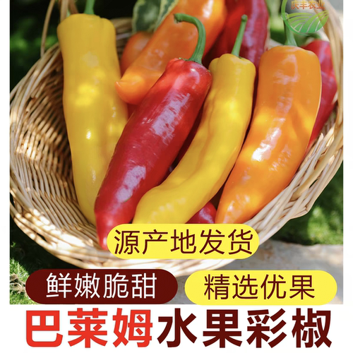 甜芭莱姆水果彩椒爽脆多汁含维C