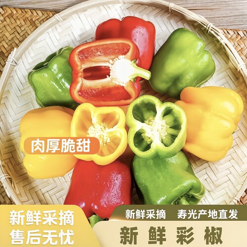 山东彩椒脆甜鲜彩椒五彩灯笼甜椒