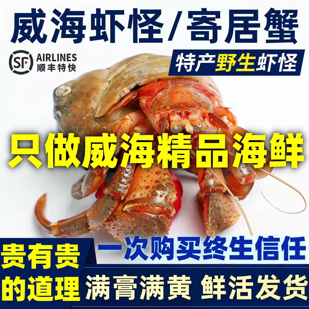 【保鲜不保活】山东威海海怪海鲜大号食用寄居蟹渤海湾鲜活虾怪