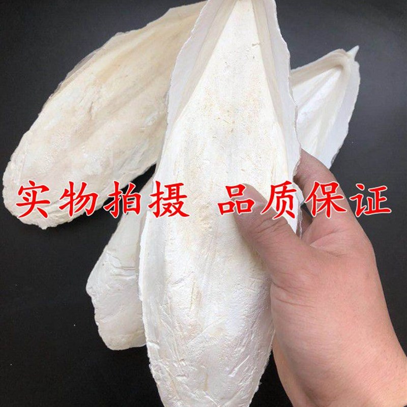 新货墨鱼骨鹦鹉补钙磨牙虎皮玄凤鸟类乌龟仓鼠补钙啃咬用品包邮