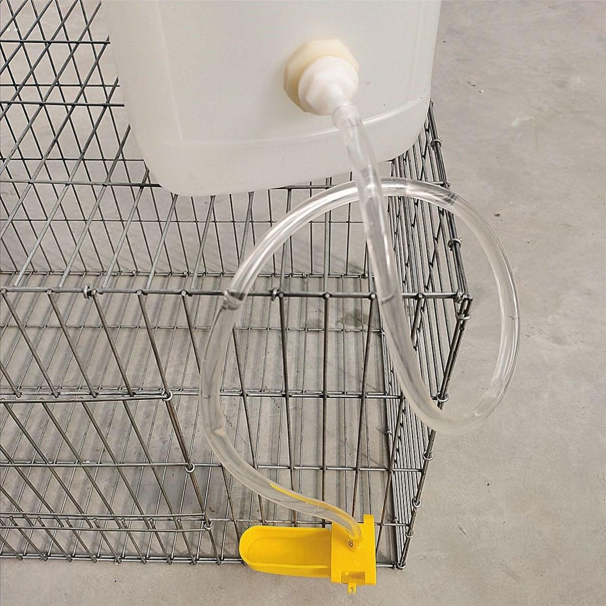 养殖饮水器全自动水碗水满自停水槽家用鸡鸭鹌鹑鸽子鸟宠物喝水小