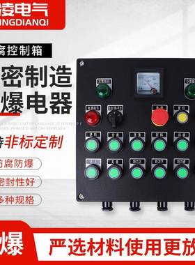 防爆控制箱BXMD非标防腐防尘黑色聚碳树脂外壳电源动力按钮控制箱