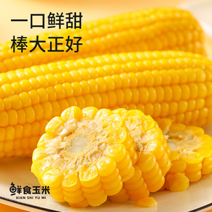 农垦东北黄糯甜玉米新鲜玉米真空装粘玉米