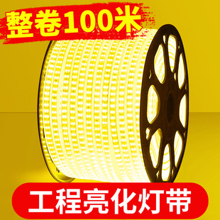 led灯带户外防水灯条220v超亮家用客厅吊顶工程亮化三色室外暖光
