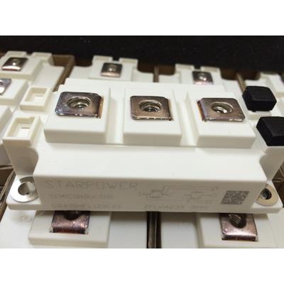 GD600SGT1702S GD400HFL120C2S GD400HFT120C2SN GD300SGL170C2S