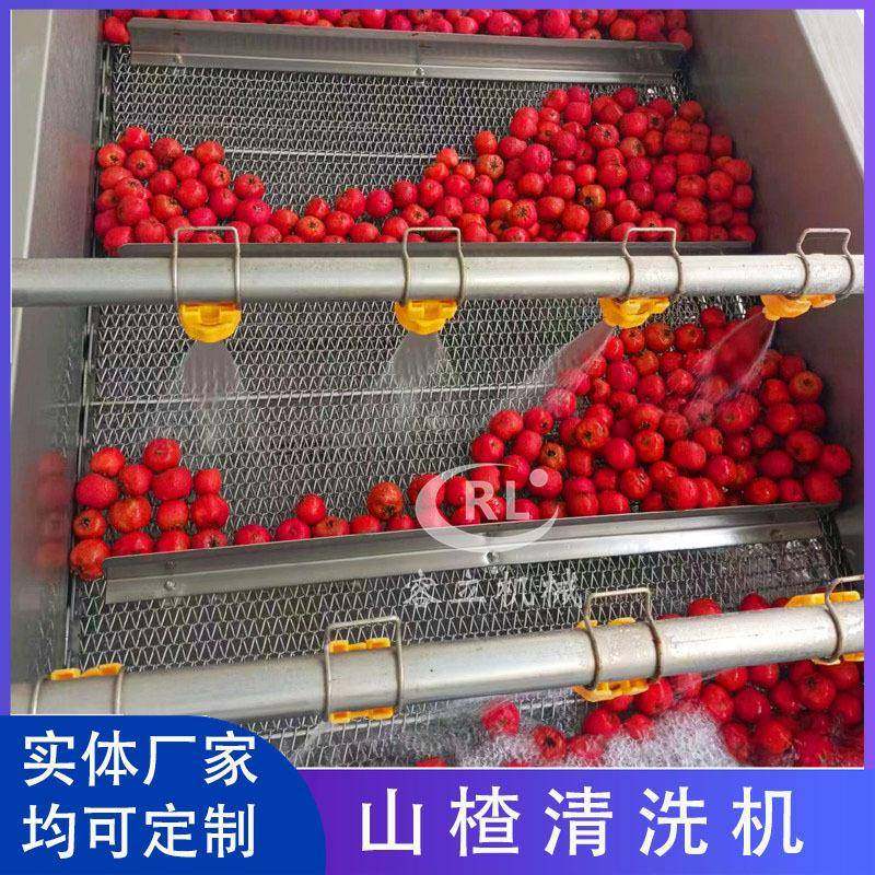 全自动果蔬气泡清洗机商用水果蔬菜清洗机气泡喷淋洗菜机设备,厨房电器,其他商用厨电,淘宝优惠券,粉丝福利购,淘宝优惠卷