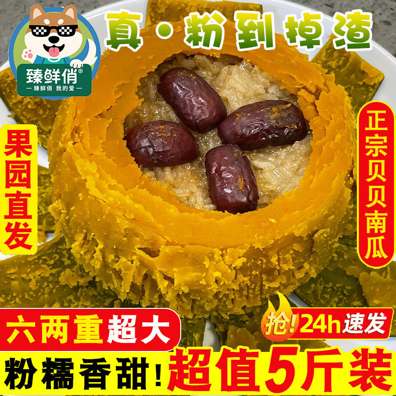 贝贝南瓜正宗山东新鲜5斤板栗味小南瓜栗面日本老瓜婴儿孕妇粉糯