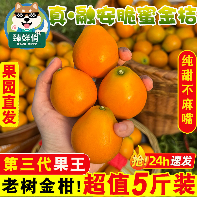 第三代融安脆蜜滑皮小金橘礼盒装