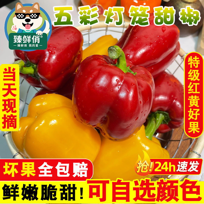 彩椒新鲜水果甜椒生吃七彩辣椒七彩椒五彩灯笼红小米椒圆椒蔬菜青,水产肉类/新鲜蔬果/熟食,辣椒,淘宝优惠券,粉丝福利购,淘宝优惠卷