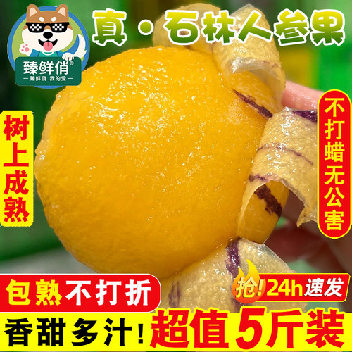 sss级石林黄肉人参果王