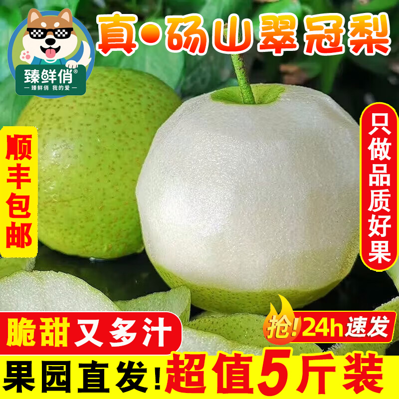 正宗碭山翠冠梨當季酥脆梨新鮮水果梨子安徽青皮雪梨整箱現摘梨兒