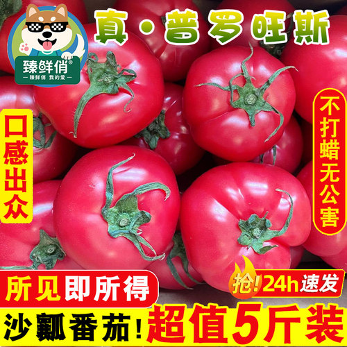 普罗旺斯沙瓤西红柿新鲜生吃孕妇水果当季自然熟老品种番茄蔬菜