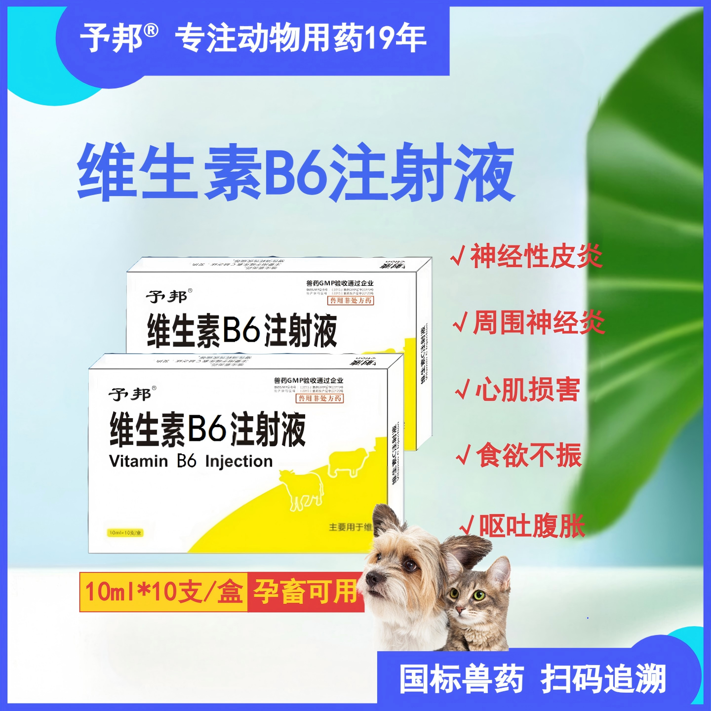 予邦维生素B6注射液国标正品兽药
