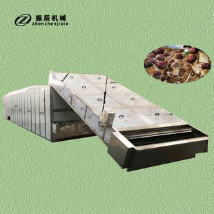 赤松茸烘干机履带式大球盖菇粗腿蘑干燥机松茸烘干机流水线