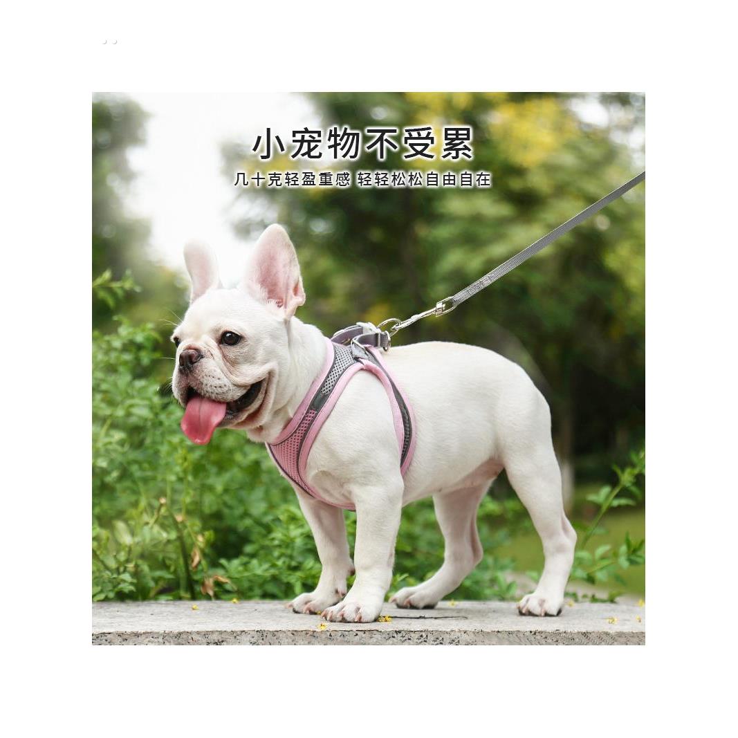 小体犬幼犬专用牵引绳超小体约克夏胸背茶杯犬1斤小号小鹿犬狗狗