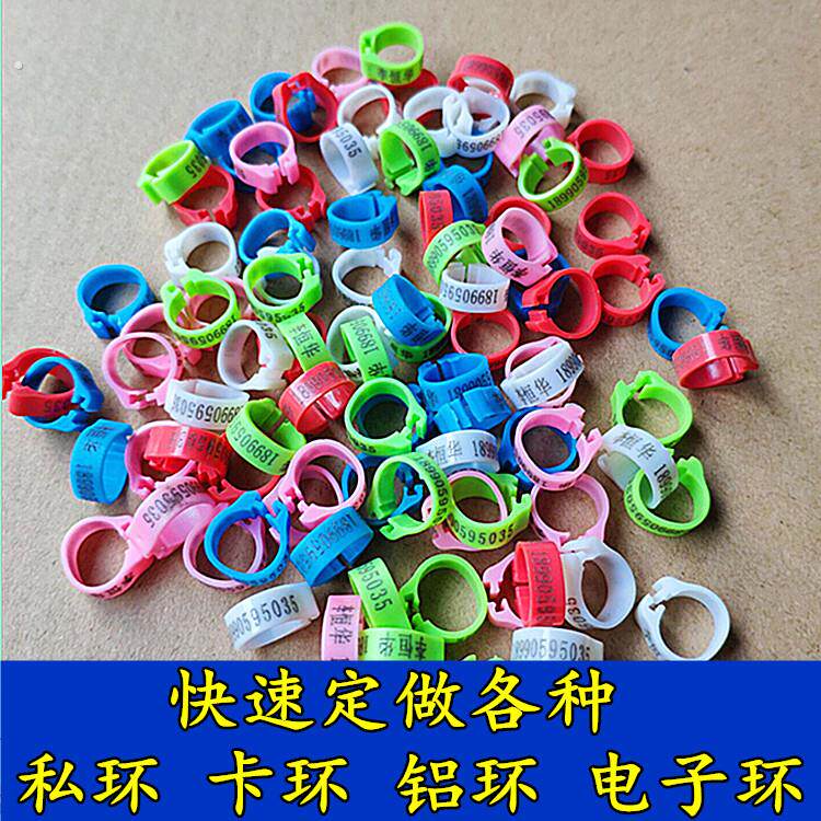 快速定做鸽子私环订做信鸽足环开口脚环鸽子脚环识别环鸽具