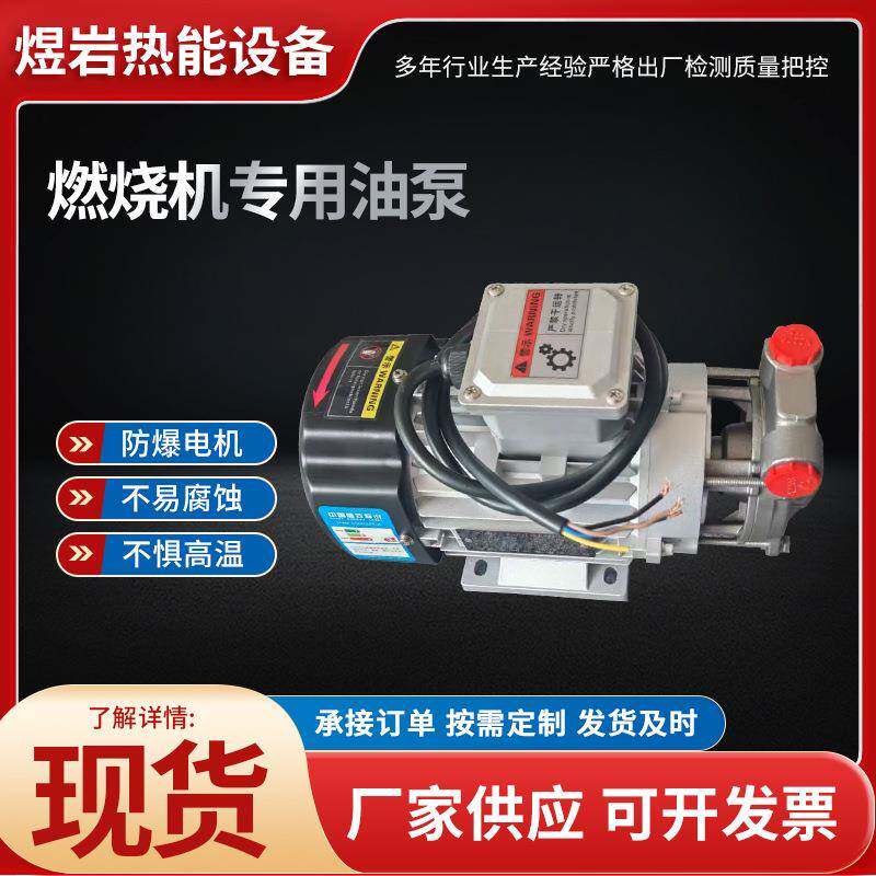 厂家直发低氮燃烧器抽油泵燃烧机配件燃油燃烧机防爆抽油泵现货