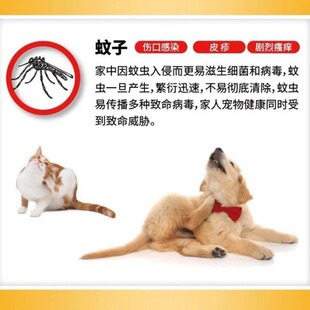 香港早速清宠物精油体外驱虫喷雾瘙速清速清除螨