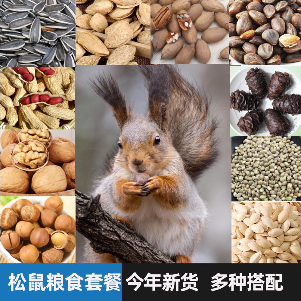 松鼠粮食主食生坚果松子专用套餐吃的主食物零用品饲料大全