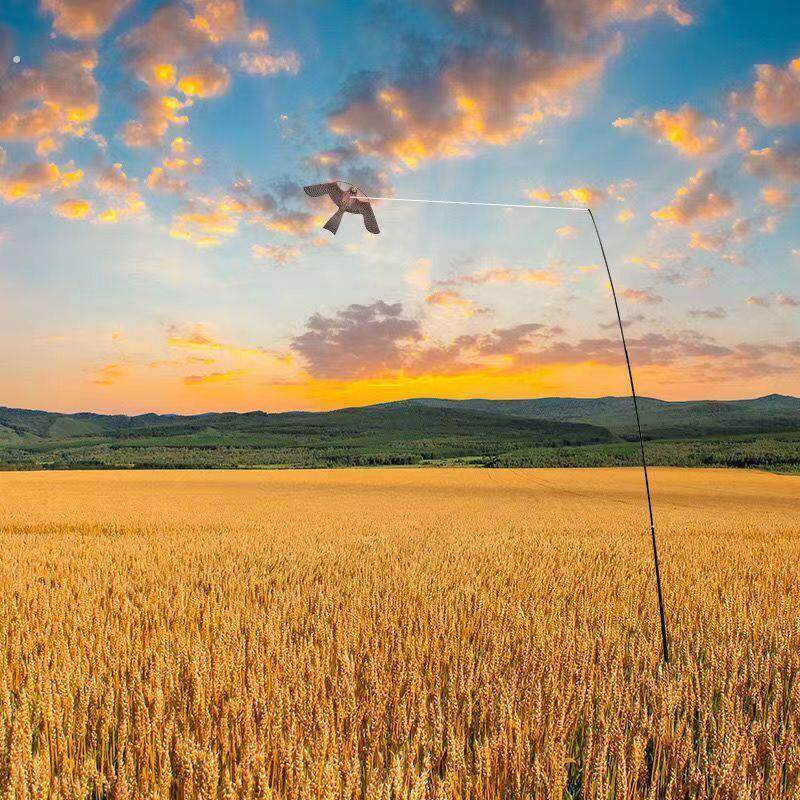 农田吓鸟老鹰风筝放撕裂防水抗风防撕裂彷真老鹰吓鸟神器
