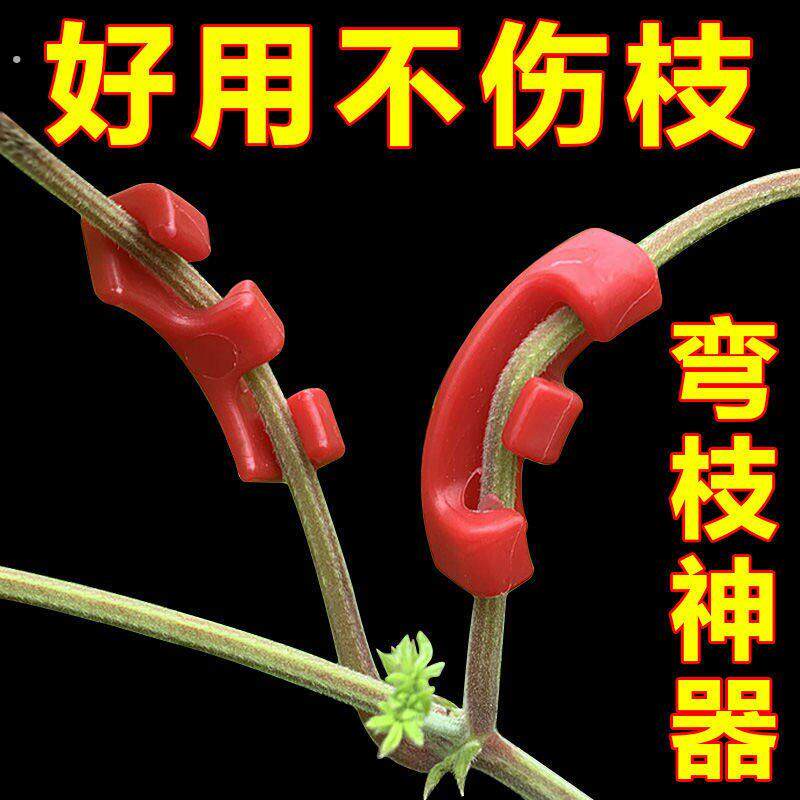 植物固定夹罗汉松树枝定型果树弯枝拉枝盆景造型支架夹枝条固定器