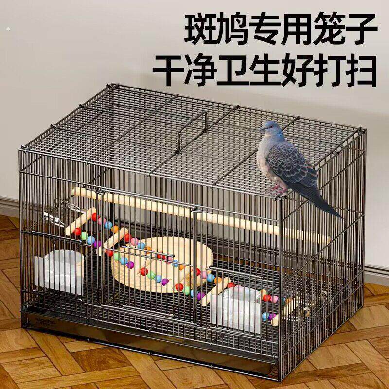 斑鸠专用笼子斑鸠鸟笼养殖笼子养斑鸠活鸟家养的笼子超大号繁殖窝