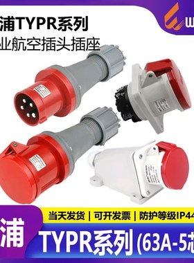 威浦工业插座  航空插头TYP641 TYP643 TYP645 2923 5923 63A5芯