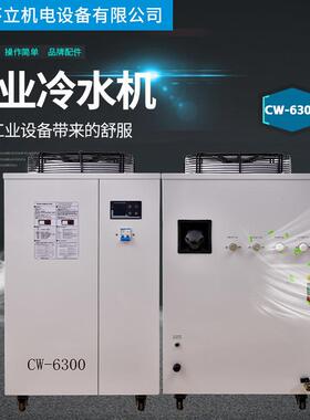 特域冷水机CW5300 激光切割雕刻刻章冷水机工业冷却机水冷箱3P/5P