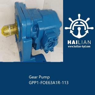 Pump for GPP1 113 deck FOE63A1R Rexroth力士乐齿轮泵Gear