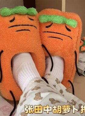 抽象张田中胡萝卜拖鞋家居室内冬季防滑保暖棉拖搞怪卡通毛绒棉鞋