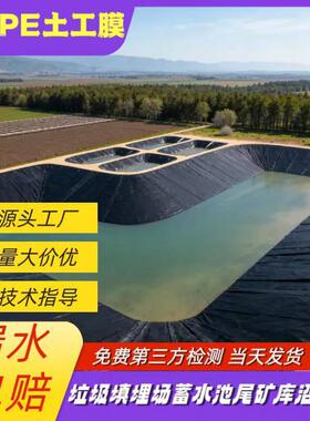 HHH养殖场沼气池黑d膜氧密度抗老化光面防渗膜化塘15mmhpe土工.膜
