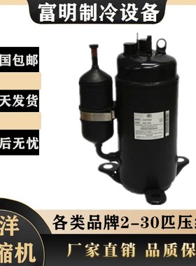 C-1RN40L5C C-1RVN48H0A C-1RN70H5A C-1RN67H0A三洋进口压缩机器