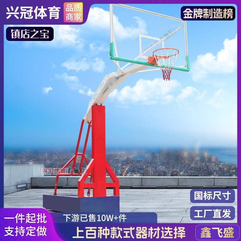 彩色篮球架户外可移动室外投篮落地式球框成年比赛训练标准家用